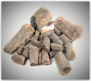 Bulk Fossils.net - Orthhoceras (sea squid) - Grade B