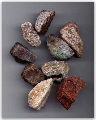 Bulk Fossils.net - Dinosaur Bone - 20 Select Pcs for $9.95 (1st Grade Quality)