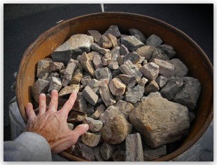 Bulk Fossils.net - Dinosaur Bone "Large"  (1st Grade Quality) - MUST INDICATE HOW MANY POUNDS YOU WANT